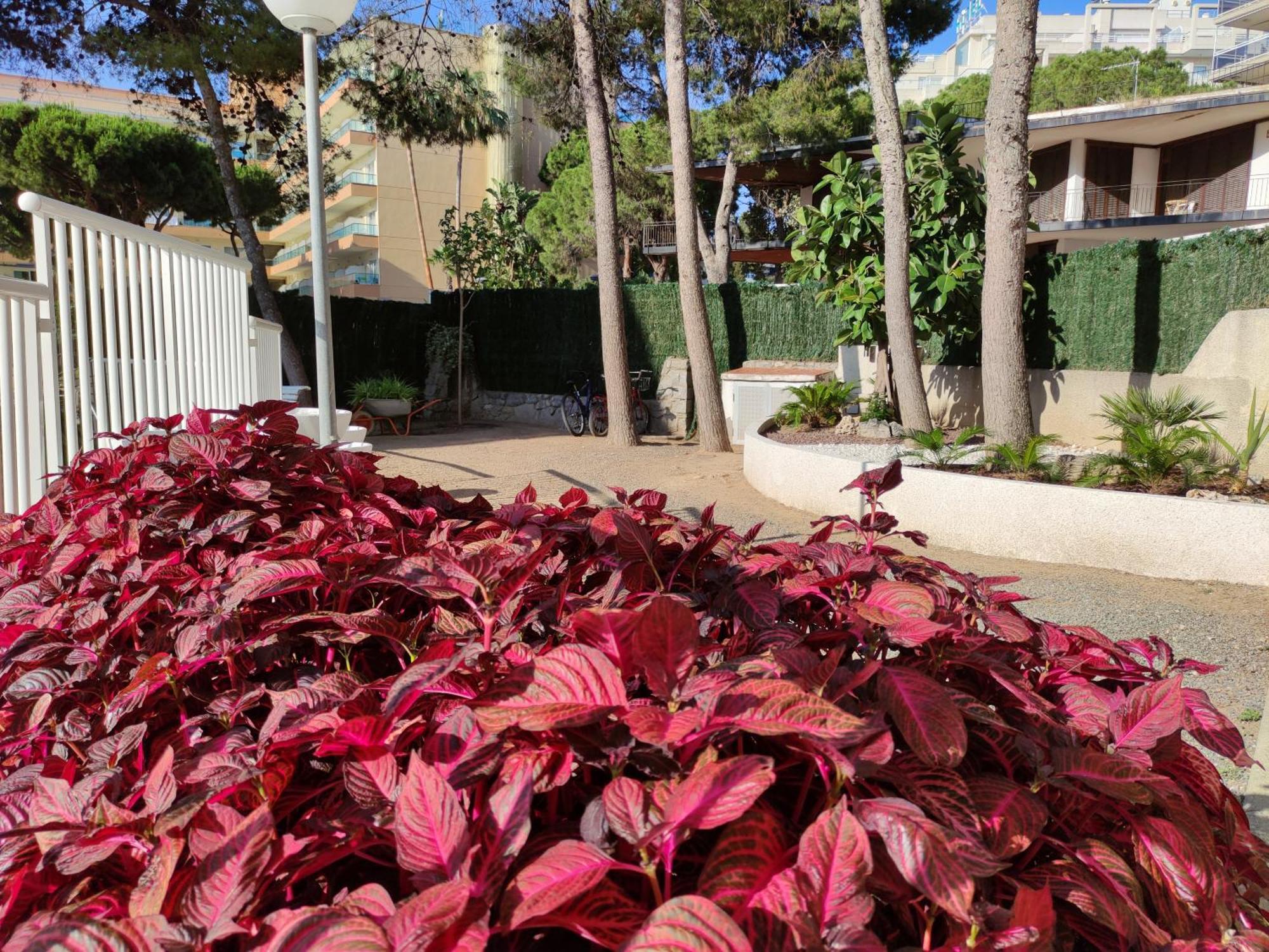 Paradis Salou, Centro Turistico, Wifi, Piscina, Vistas Al Mar Екстер'єр фото